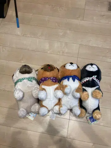 콩시바 3형제 봉제 인형
