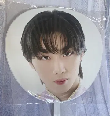 모리타 리쿠 에비라이 부채
