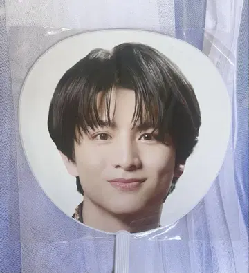 카시와기 유 에비라이 부채