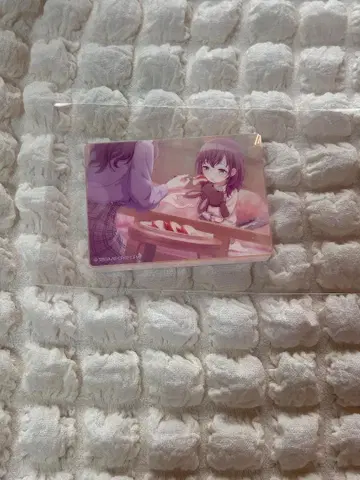 아사히나 마후유 노블