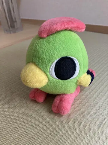 포켓인형 네이티
