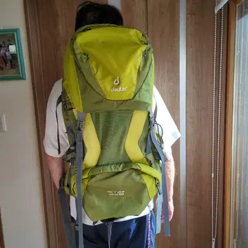 deuter 하이킹 백팩 그린