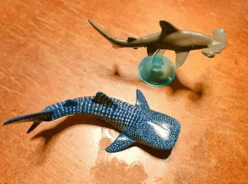 진베이 상어와 귀상어 피규어 2체 세트