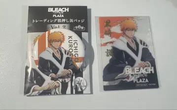 쿠로사키 이치고 BLEACH 블리치