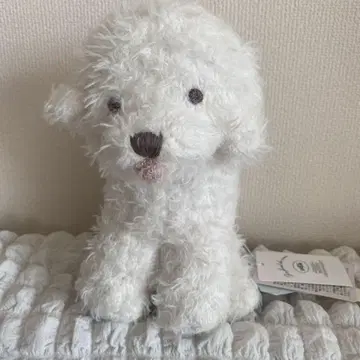 젤라피케 비숑 프리제 봉제 인형