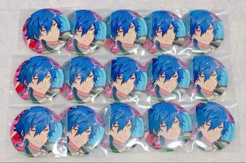 사자나미 쥰 캔뱃지 15개