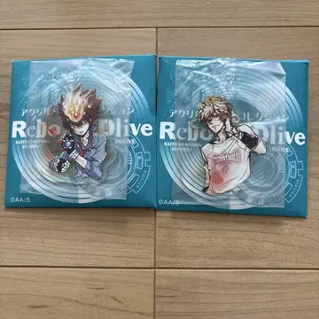 아크릴 배지 컬렉션 REBORN 사와다 츠나요시 디노