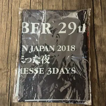 XJAPAN 붉게 물든 밤 빅 플래그 엑스재팬 VIP 한정판