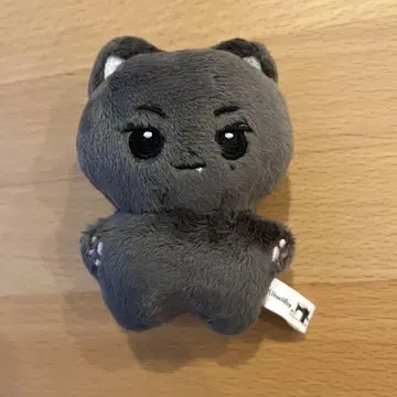 ENHYPEN 제이 봉제 인형 10cm 마스터