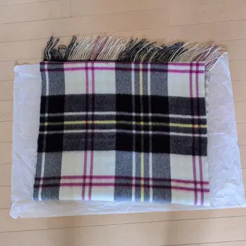 투모로우랜드 스톨