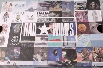 CONVERSE RADWIMPS ALL STAR 29