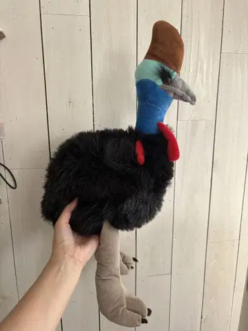 화식조 봉제 인형 본체 화식조