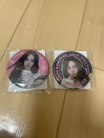 aespa 랜덤 토이 카리나 캔 배지 컴프
