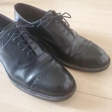 REGAL Worth collection (리갈) 26.5