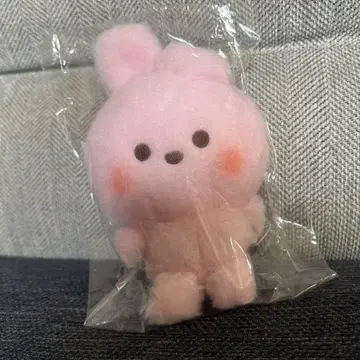 BT21_BABY 비니 인형 COOKY