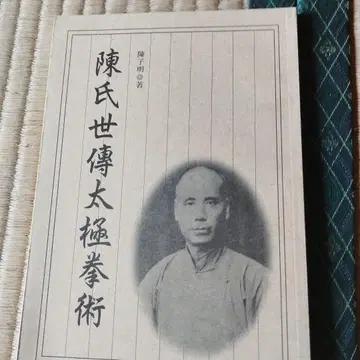 진씨세전태극권술