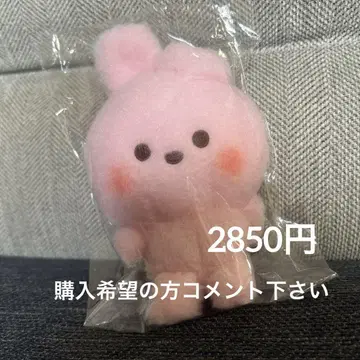BT21_BABY 비니 인형 COOKY
