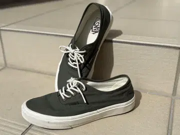 레어 VANS 오센틱