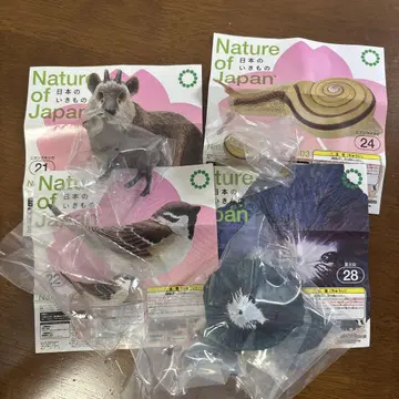 네이처 테크니컬러 일본의 생물 참새 후지산 카모시카 달팽이