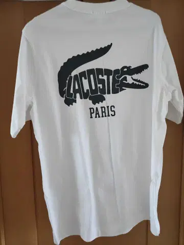 별주 빔즈 콜라보 LACOSTE 화이트 T셔츠