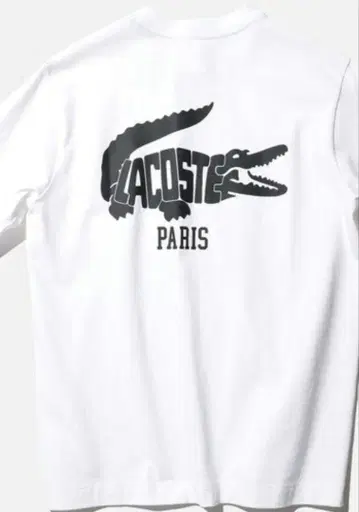 별주 빔즈 콜라보 LACOSTE 화이트 T셔츠