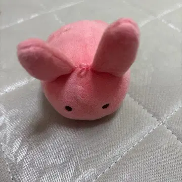 지박소년 하나코 군 못케 코로롱 마스코트