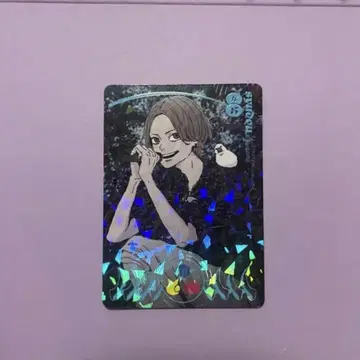 syudou 트레이딩 카드 시크릿