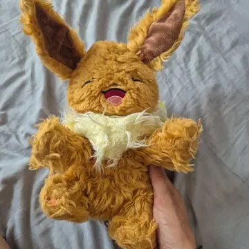 포켓몬스터 인형 봉제 인형 WHO are YOU? 포켓몬 이브이