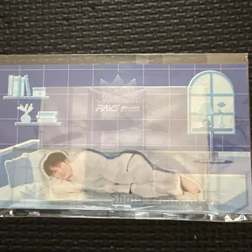 SnowMan RAYS 투어 아크릴 스탠드 와타나베 쇼타