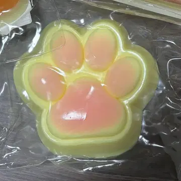발바닥 고양이 스퀴즈
