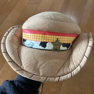 우디의 카우보이 모자