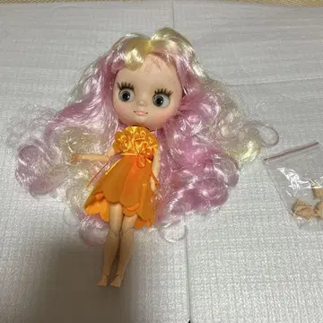 아이시 인형 본체