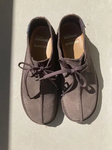 BEAMSBOY 별주 Clarks Desert Trek GTX