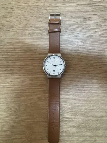 SKAGEN 손목시계 SKW6082