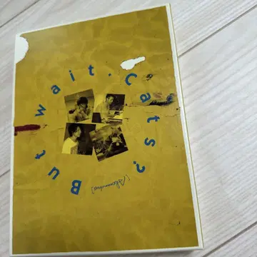 But wait. Cats? 초회 한정판