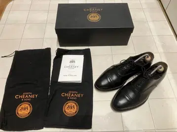 Joseph Cheaney 치니니 펀치드캡토 8F 새상품급