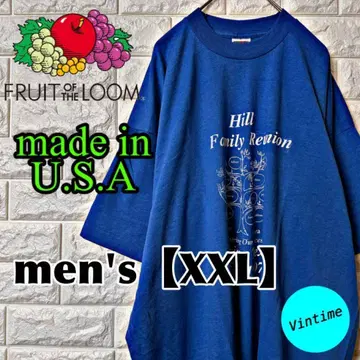 AI15 USA제 프룻 오브 더 룸 프린트 셔츠 남성용 XXL