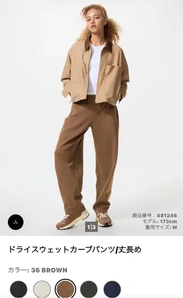 드라이 맨투맨 커브 팬츠 X S 긴 길이 브라운