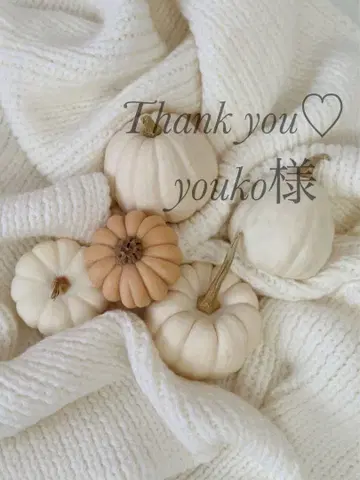 youko님