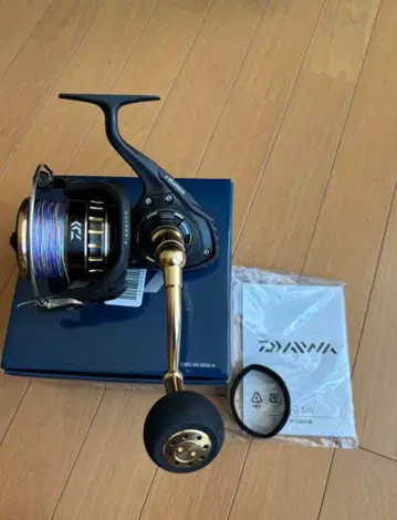 DAIWA 23 BG SW 8000-H