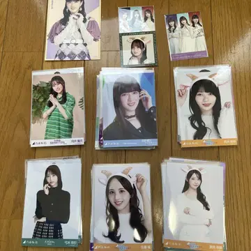 사카미치 시리즈 아이돌 사진 세트