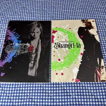 Acid Black Cherry 2013 2014 팜플렛