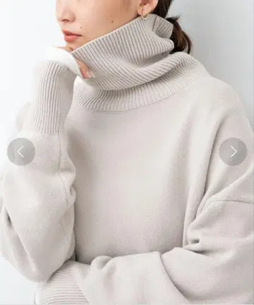 미들 게이지 터틀