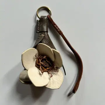genten 꽃 참 에버참 크리스마스로즈