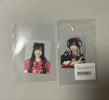 큐루링떼시떼미떼 신기루아무 증명사진 스티커 야온