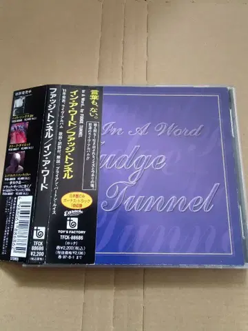 퍼지 터널 / 인 어 워드 FUDGE TUNNEL 일본 국내반 단종