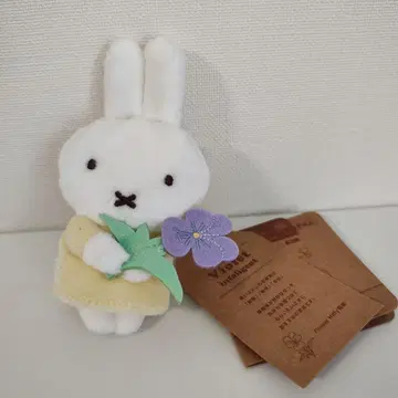 브루나 춋코리 산큐 마스코트 플라워 미피 제비꽃
