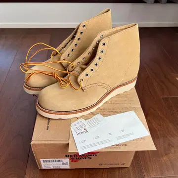 레드윙 클래식 라운드 6인치 부츠 8167 8.5D 미사용