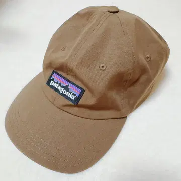 patagonia 브라운 캡