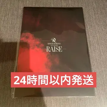 즉시 구매 OK 미개봉 새상품 도모토 코이치 RAISE 팜플렛